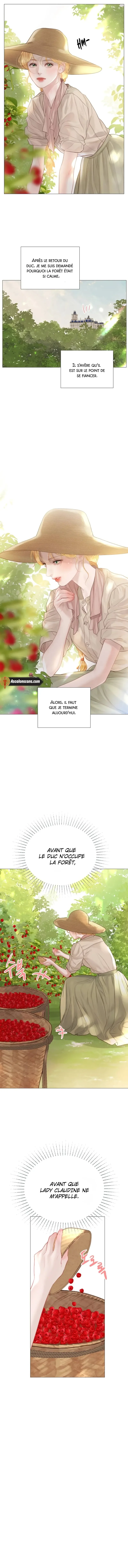 Page 6 / 40