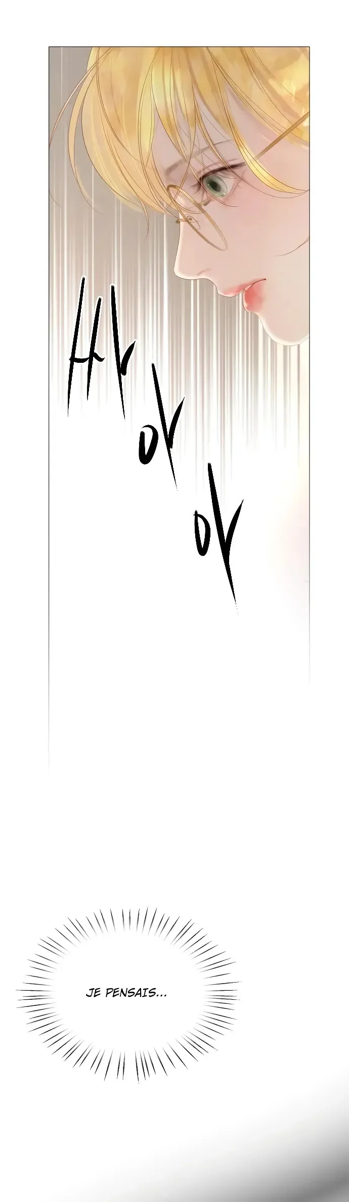 Page 17 / 41