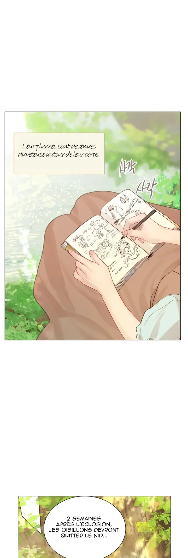 Page 41 / 52